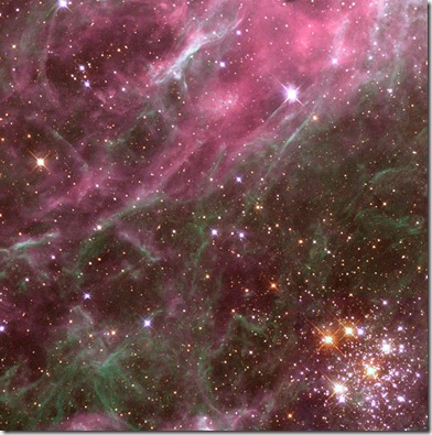 593px-Tarantula_nebula_detail[1]