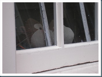 Monkeys through a window