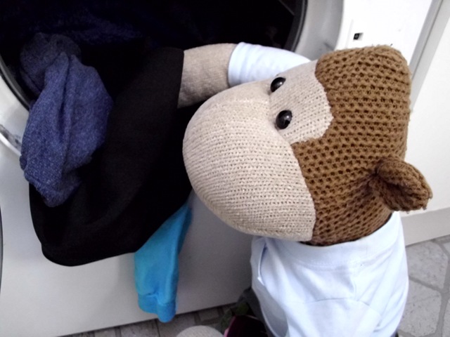 [Monkey Loading the Tumble Dryer[4].jpg]