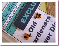Ladybirds on gardening Card