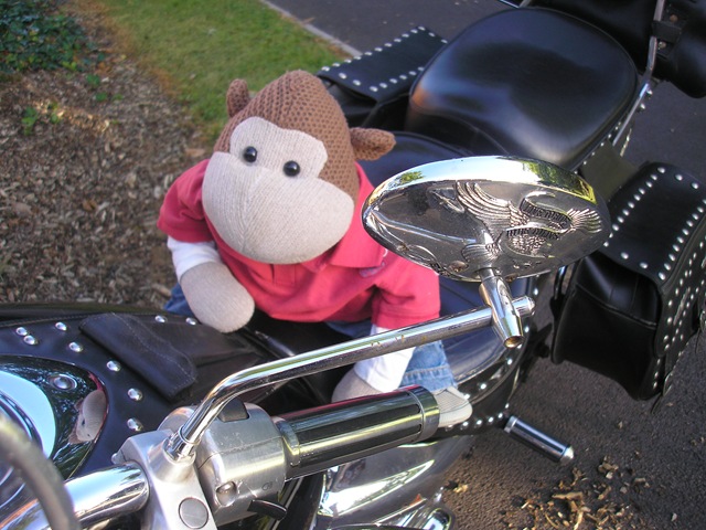 [Monkey on a Motorbike 1[7].jpg]