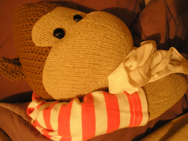 [Monkey in bed with flu[4].jpg]