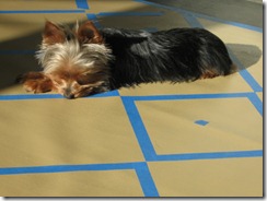 Floorcloth and Esther 001