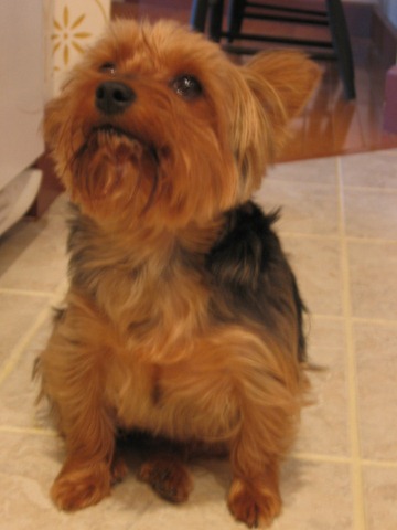 [Floorcloth and Esther 010[2].jpg]