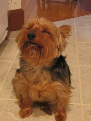 [Floorcloth and Esther 012[2].jpg]