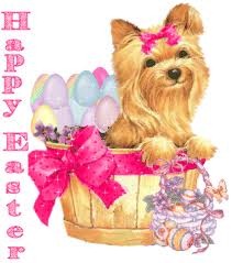 [yorkie easter[2].jpg]