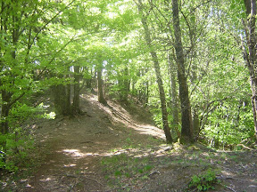 Crestina verso la cima del Corno Orientale