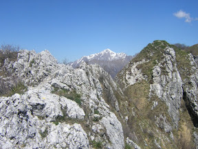 Uno sguardo tra i rami a Coltignone e Grigne