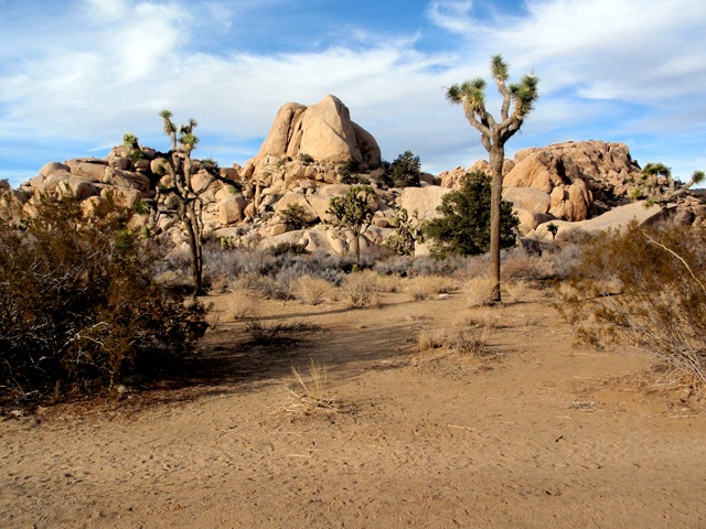 [P1040057[2].jpg]