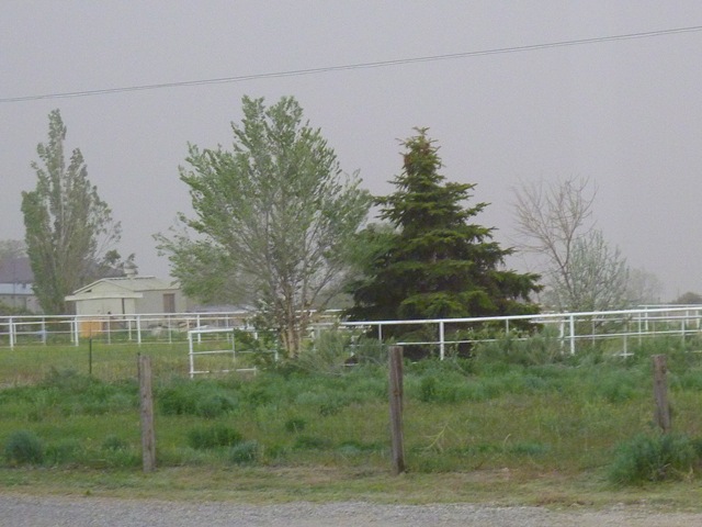 [P1000937[2].jpg]