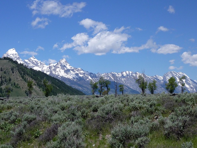 [P1010447[2].jpg]
