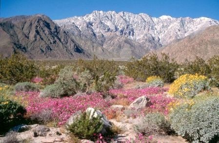 [palmsprings_images.Par.82cb3c46.Image.450.294.1.gif[2].jpg]