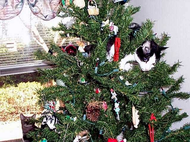 [Oreo xmas[2].jpg]