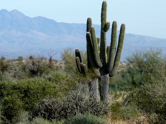 [P1030826[2].jpg]