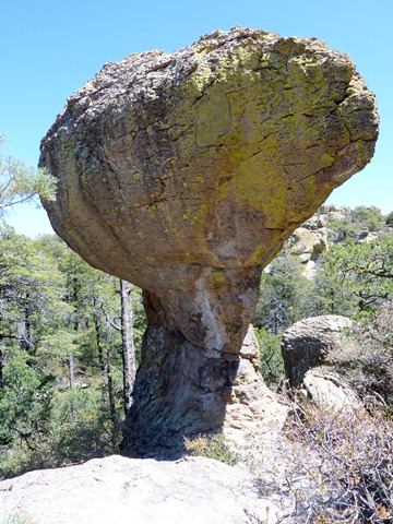 [P1040263[2].jpg]