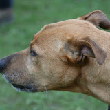 Drax 1 May 2010