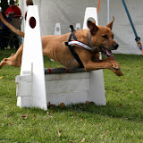 Tyne Tailwaggers show