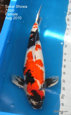 DPP_0011.JPG