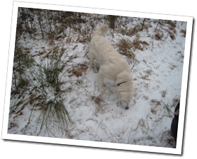 IMG_3424 IMG_3424