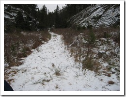 IMG_3427 IMG_3427
