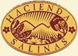 Hacienda Salinas Cebu House and Lot
