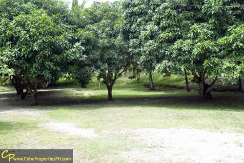 1.7 Beach Property in Dauis Panglao Bohol FOR SALE!