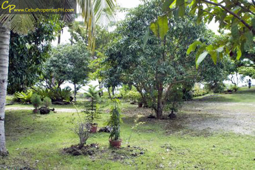 1.7 Beach Property in Dauis Panglao Bohol FOR SALE!