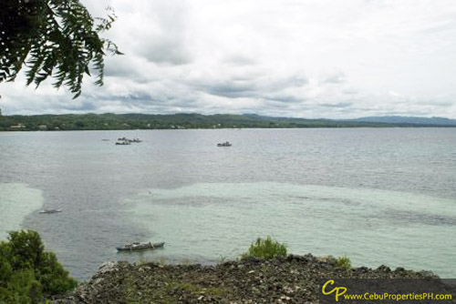 1.7 Beach Property in Dauis Panglao Bohol FOR SALE!