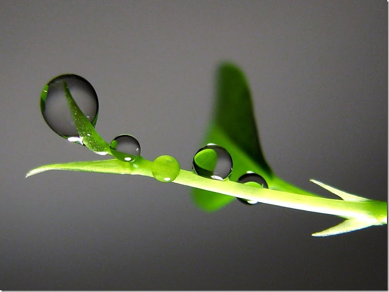 Micro Drops Micro Drops
