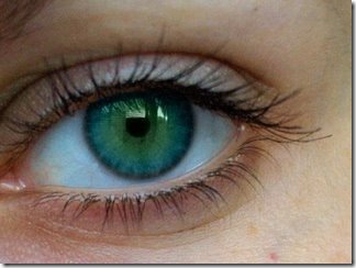 eye eye