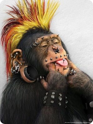 The Monkey Free Star Tattoo Design