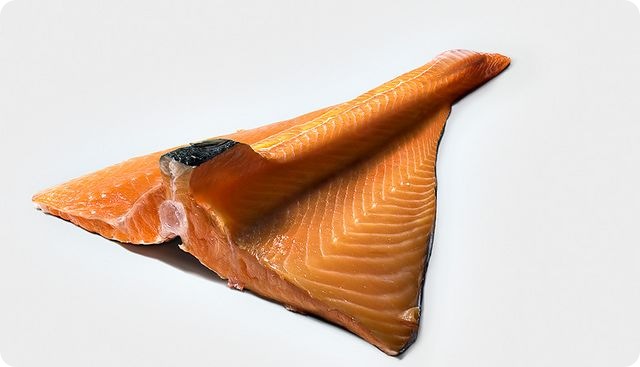 Fish Tiles Fish Tiles
