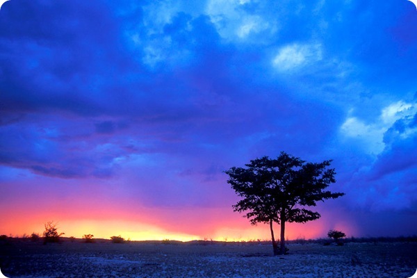 etosha_national_park_view