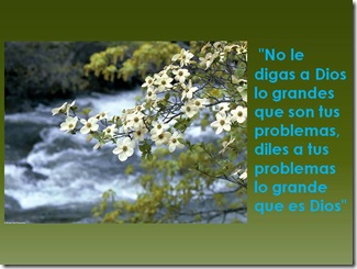 perpectiva inversa