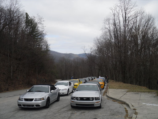 SDC10334.JPG