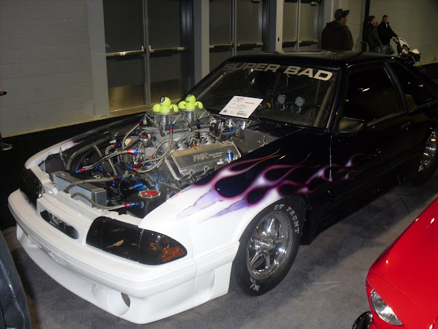 fastfox.JPG