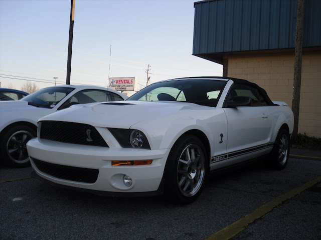 shelby.JPG