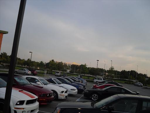 SDC11389.JPG