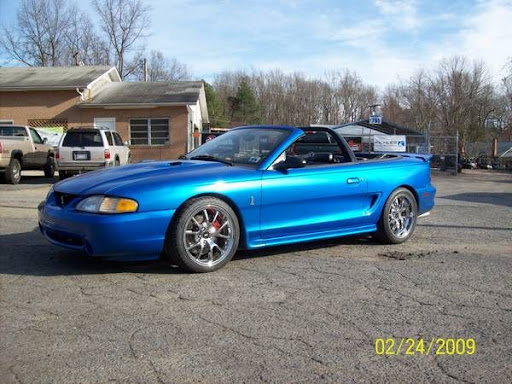 COBRA1.jpg