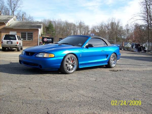 COBRA5.jpg