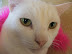 DSCF4229.JPG
