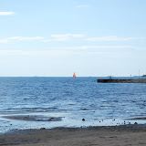 DSC_7228.JPG