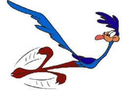 054. Papa léguas - 25.05.08