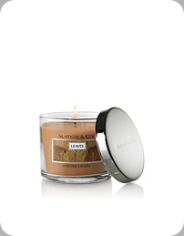 leaves candle