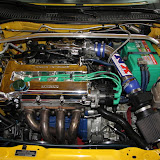 IMG_4428.JPG
