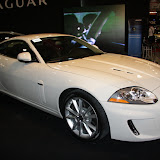 IMG_4453.JPG
