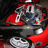 IMG_5206.JPG