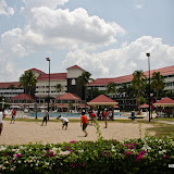 photo (1) (Large).jpg