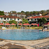 photo (13) (Large).jpg