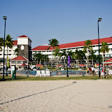 photo (11) (Large).jpg